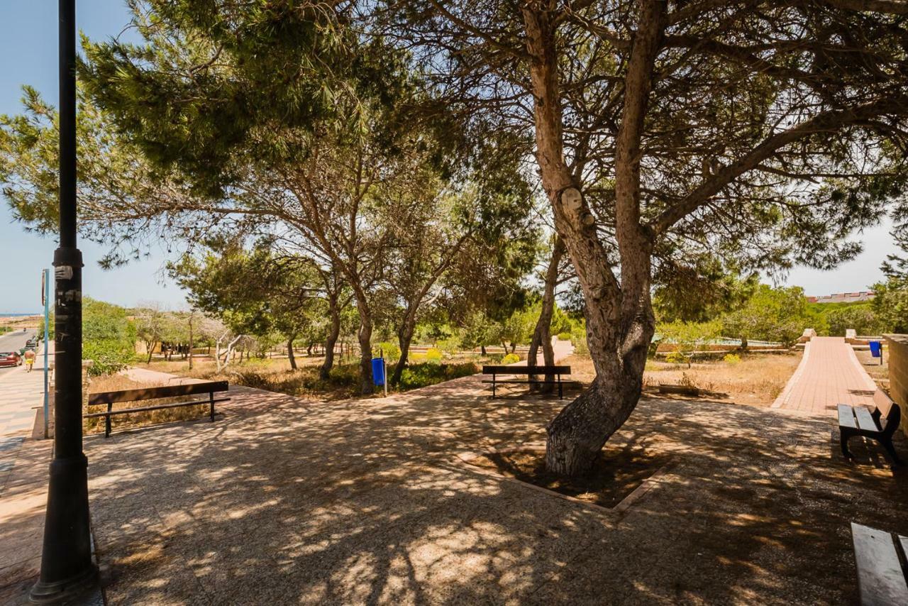 Apartament "Parque Mar" La Mata  Zewnętrze zdjęcie