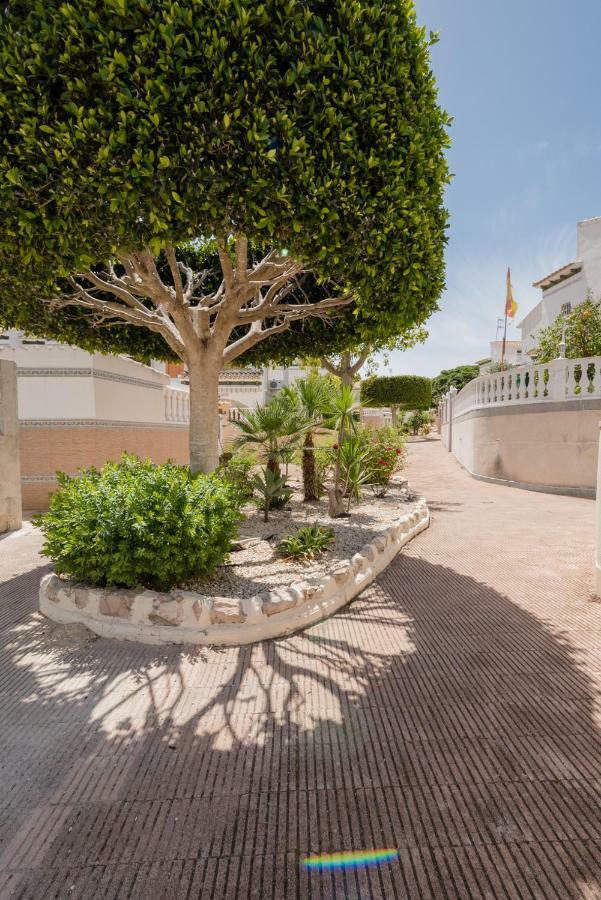Apartament "Parque Mar" La Mata  Zewnętrze zdjęcie